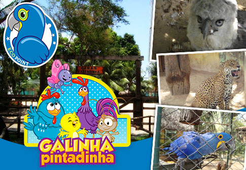 Show da Galinha Pintadinha + Passaporte para o Ecopoint