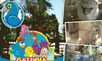Diversão e consciência ambiental no Ecopoint! Show da Galinha Pintadinha + Ingressos, a partir de R$ 14,90. Zoológico, fazendinha, atividades esportivas, mini-horta, aldeia indígena, palhaço, pintura facial, e muito mais!