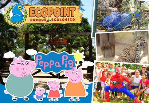 Show da Peppa + Show do Homem Aranha + Passaporte para o Ecopoint