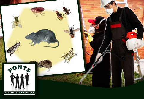 Ponts: Dedetização Contra Pragas e Insetos (baratas, ratos, formigas e carrapatos)